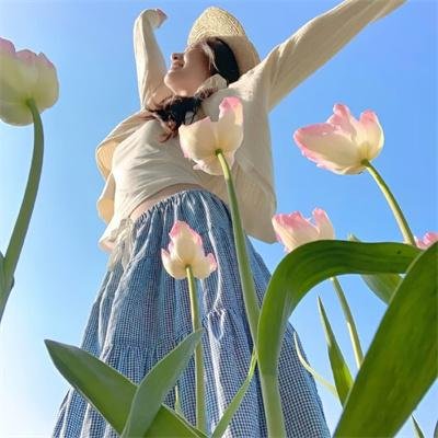 不进花瓶的洋甘菊